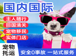 吴圩航空快递国际宠物托运 【国